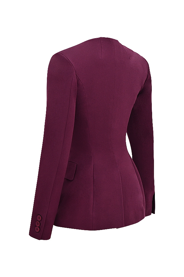 Theodora  Wine Deep V Blazer — image 12