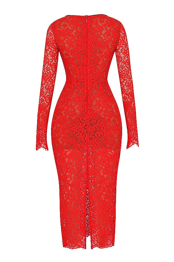 Lisandra  Red Lace Maxi Dress — image 14
