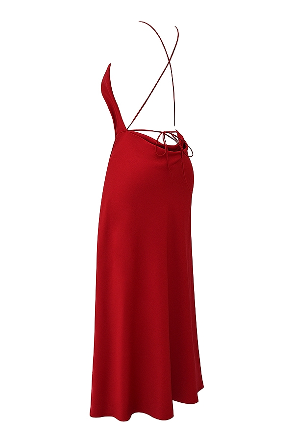 Zanab  Red Rose Thigh Slit Maxi Dress — image 17