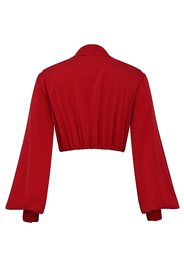 Laraine  Cherry Silk Blouson Top — image 14